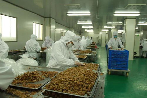 太和農產品加工產業園入選省行動計劃，聚焦食用農產品初加工高質量發展